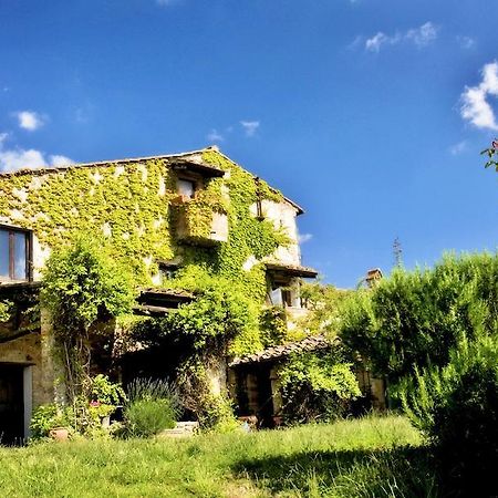 Pensjonat Podere Patrignone Castellina in Chianti Zewnętrze zdjęcie